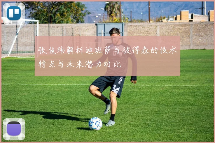 张佳玮解析迪班萨与彼得森的技术特点与未来潜力对比